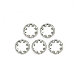 chrome ext borgring 12 0 4174
